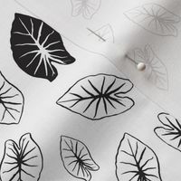 Taro Leaf - White and Black Extra Small Scale