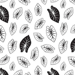 Taro Leaf - White and Black Extra Small Scale