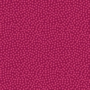 Polka dots / Purple / pink