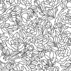 Peonies - Black and White Line Drawing