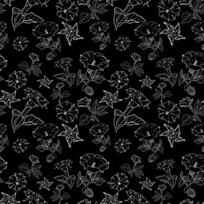 Datura Flowers Fabric Wallpaper And Home Decor Spoonflower