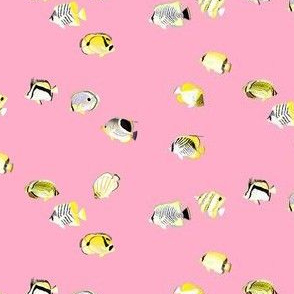 Mask sized Twelve Butterflyfish Scatter on pink