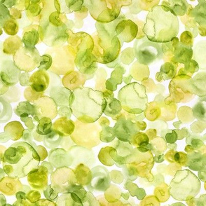 lime watercolor bubbles