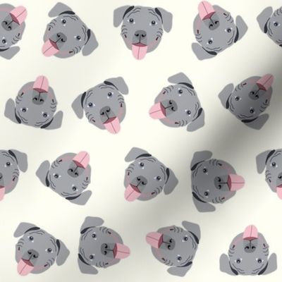 grey pitbull faces fabric - dog fabric, dog breed fabrics - cream