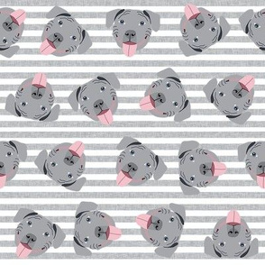 grey pitbull faces fabric - dog fabric, dog breed fabrics - grey stripes