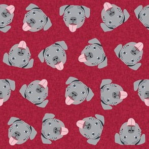 grey pitbull faces fabric - dog fabric, dog breed fabrics - red