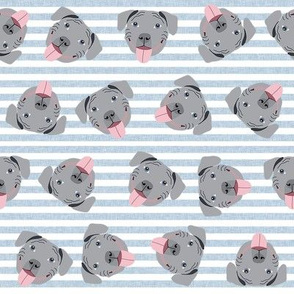 grey pitbull faces fabric - dog fabric, dog breed fabrics - blue stripes