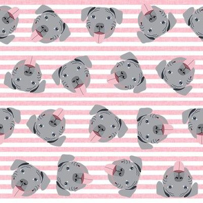 grey pitbull faces fabric - dog fabric, dog breed fabrics - pink stripes