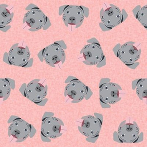 grey pitbull faces fabric - dog fabric, dog breed fabrics - salmon