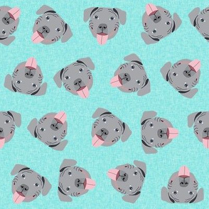 grey pitbull faces fabric - dog fabric, dog breed fabrics - turquoise