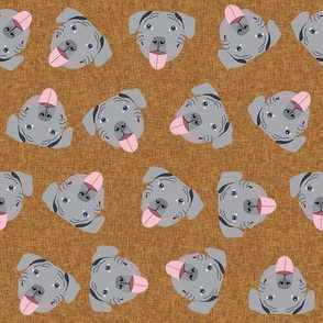 grey pitbull faces fabric - dog fabric, dog breed fabrics - brown