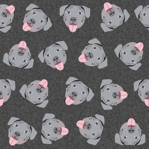 grey pitbull faces fabric - dog fabric, dog breed fabrics - charcoal