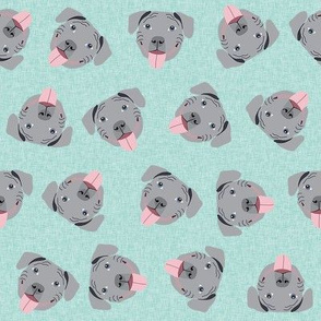 grey pitbull faces fabric - dog fabric, dog breed fabrics - mint