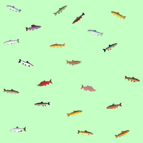 World of Trout and Salmon on light green