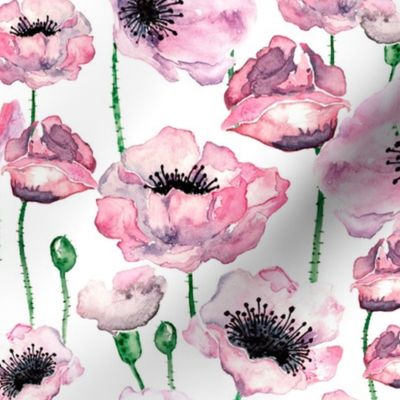 Pink watercolor poppies