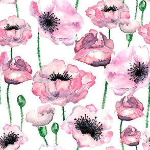 Pink watercolor poppies