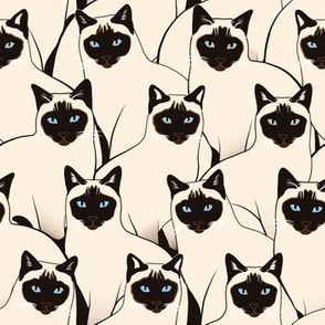 Hundreds of Siamese Cats