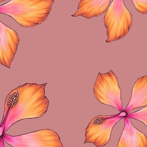Hibiscus - Rose Pink Large