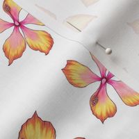 Hibiscus - White Small