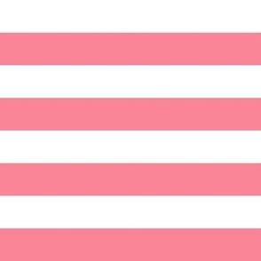 White Pink 1 Inch Stripes