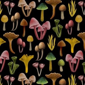 Small-Scale Mushrooms, Lichen & Colorful Fungi