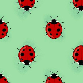 Ladybirds (red)