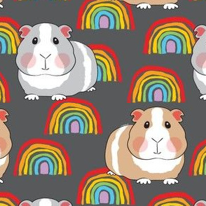 large guinea pigs and rainbows on charcoal