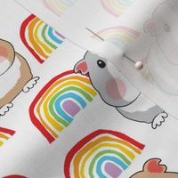large guinea pigs and rainbows on white