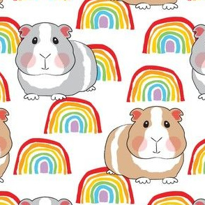 large guinea pigs and rainbows on white