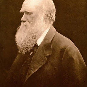 44-4  Charles Darwin