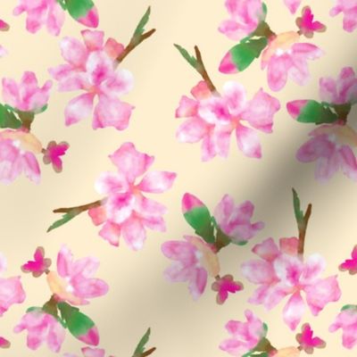 Plum blossoms med