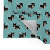 tricolored chihuahua dog fabric - light blue