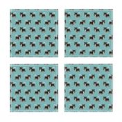 tricolored chihuahua dog fabric -blue