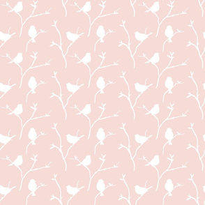 Blush Birds