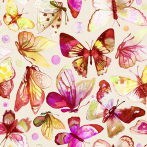 watercolor butterflies  | red