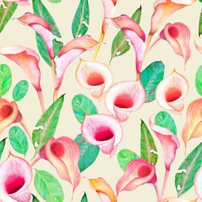 Calla lilies light Background