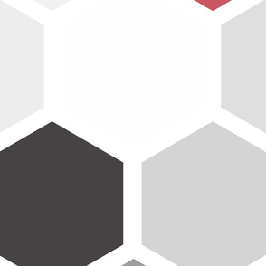 20-05ac Jumbo Hexagon Black White Gray Red Quilt Panel 