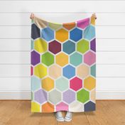 20-05x Jumbo Hexagon Quilt Panel Rainbow 
