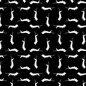 Dachshund Dog Silhouettes Print with Black Background (Small Size Print Version)