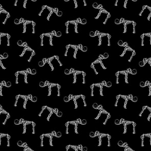 Woolly Mammoth Print with Black Background (Small Size Version)