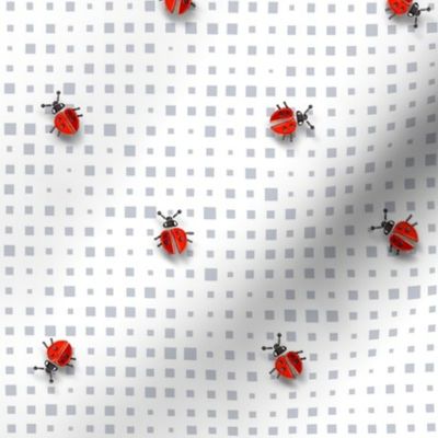 Ladybugs on The Screen | Gray + White