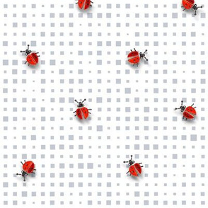 Ladybugs on The Screen | Gray + White