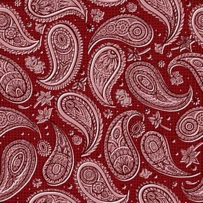 Paper Paisley//Rust Red small scale