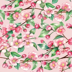 Apple blossom pattern on pink