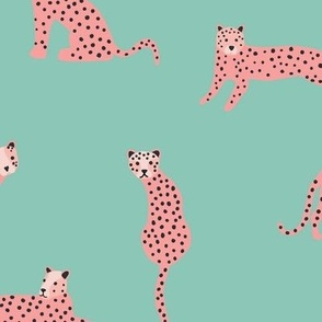 Pink leopards