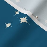 Muslin Stars On Teal