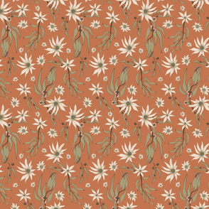 Australian Desert Flannel Flowers on Rust