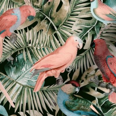 Exotic Jungle Birds