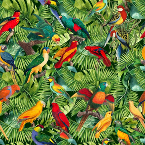 Exotic Jungle Birds