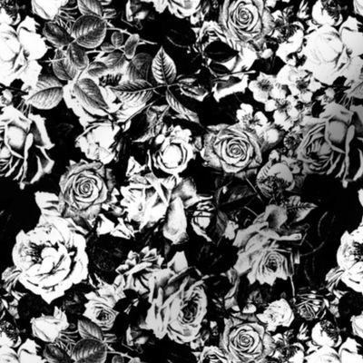 Black White Romantic Rose Pattern